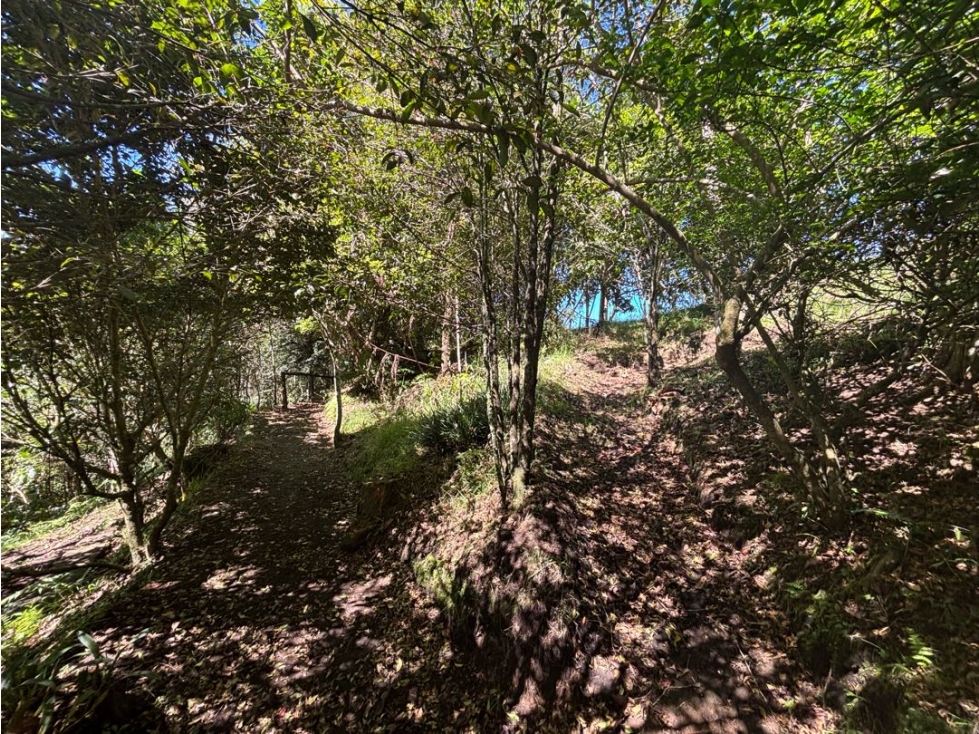 Espectacular lote 100% aprovechable la ceja vía san antonio en U.C. — foto 6