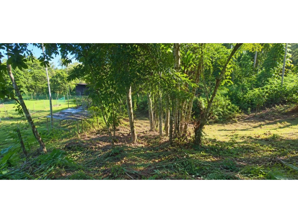 Espectacular lote campestre en venta Pereira - via Armenia - 1