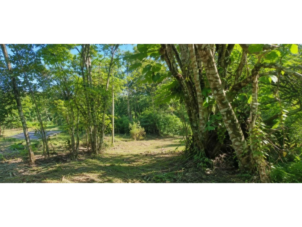 Espectacular lote campestre en venta Pereira - via Armenia - 2