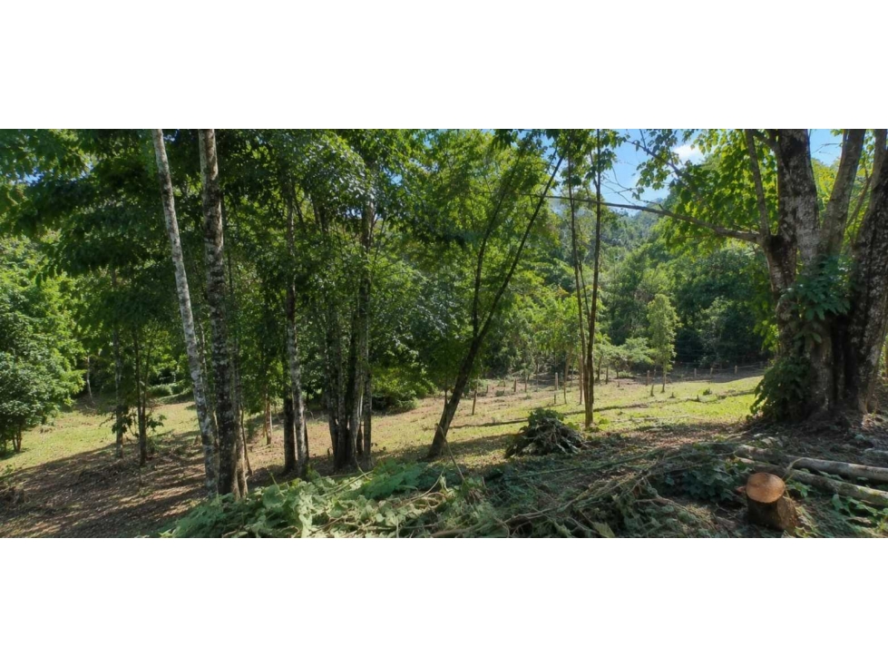 Espectacular lote campestre en venta Pereira - via Armenia - 3