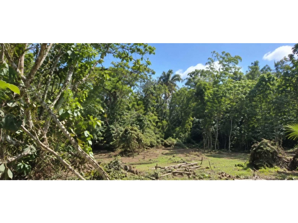 Espectacular lote campestre en venta Pereira - via Armenia - 4