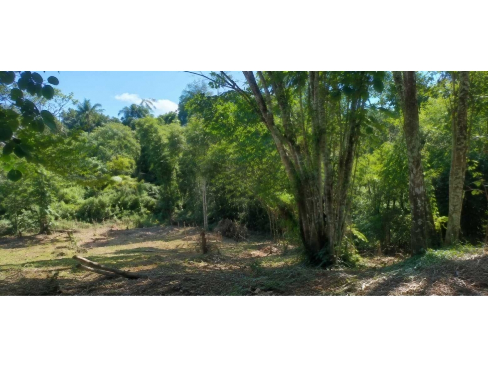 Espectacular lote campestre en venta Pereira - via Armenia - 5