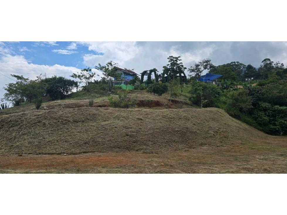 VENDO LOTE CAMPESTRE