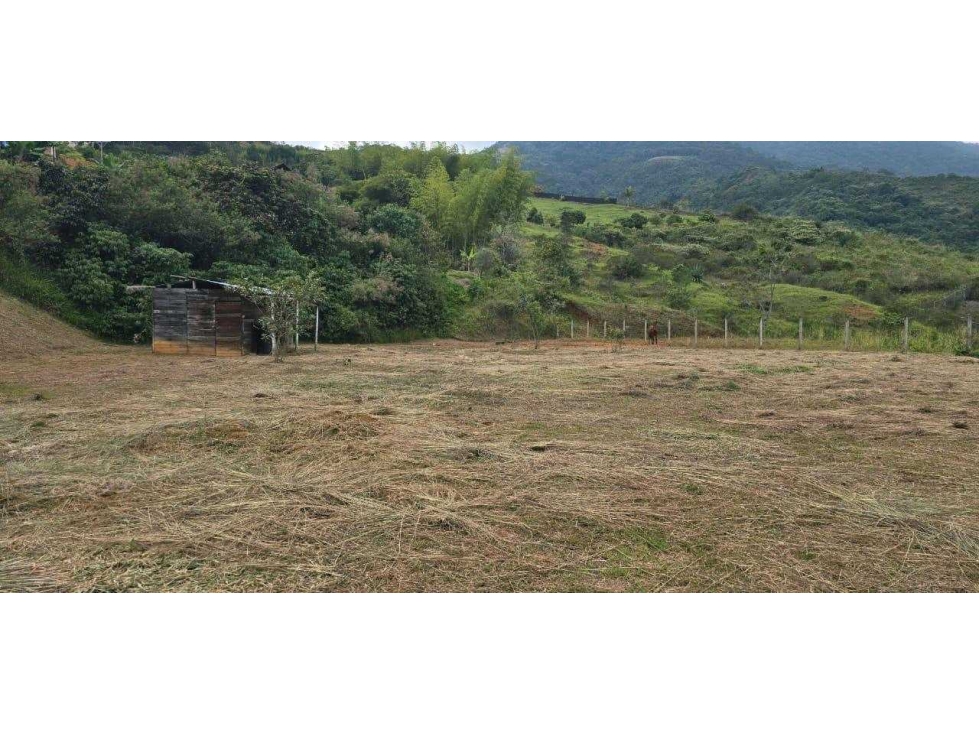 VENDO LOTE CAMPESTRE — foto 6