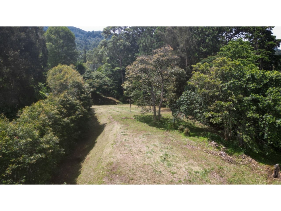 ESPECTACULAR LOTE CON VISTA A MEDELLÍN EN ENVIGADO PARTE BAJA — foto 4