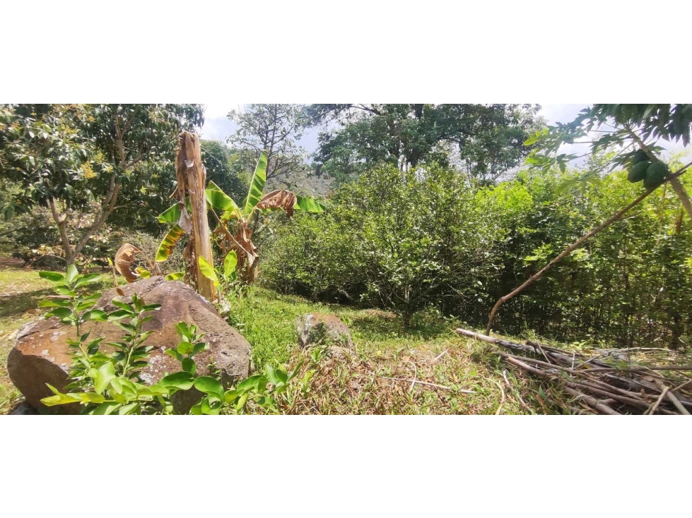 Espectacular lote de 3180 M2 en 270 mill en La Mesa Cund, Col — foto 5