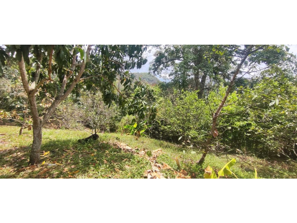 Espectacular lote de 3180 M2 en 270 mill en La Mesa Cund, Col — foto 6