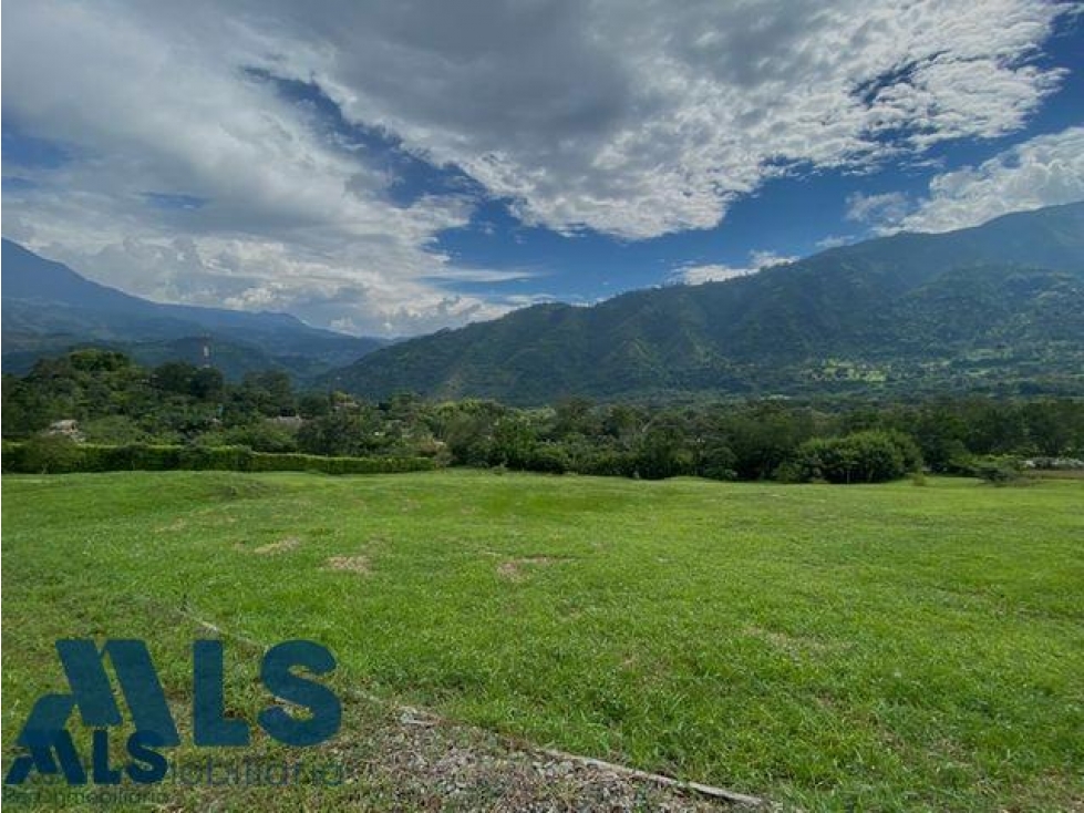 Espectacular lote en Amagá de 19.500 mt(MLS#260354) - 3