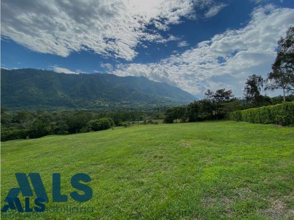 Espectacular lote en Amagá de 19.500 mt(MLS#260354) - 4
