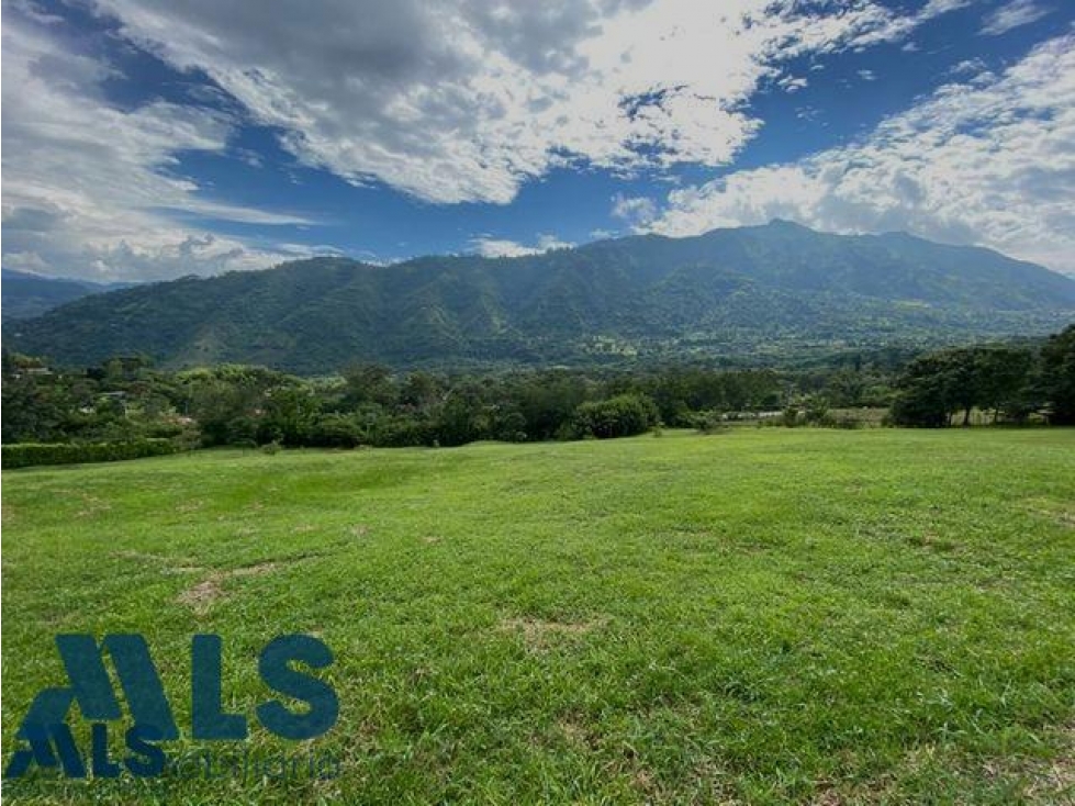 Espectacular lote en Amagá de 19.500 mt(MLS#260354) - 6