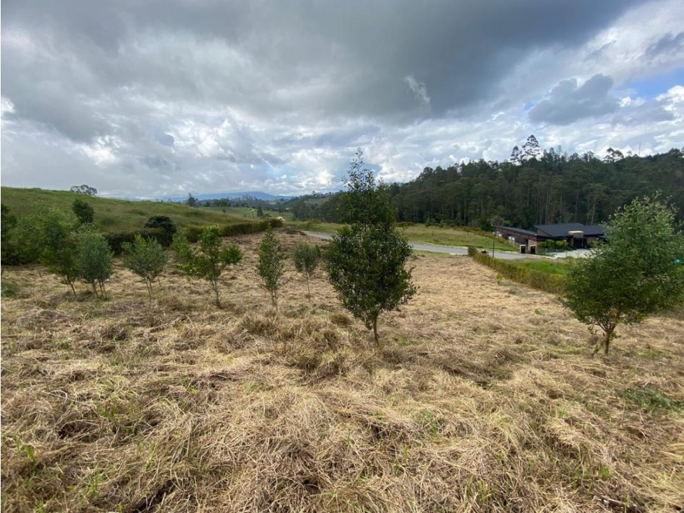 Espectacular Lote en el Retiro Antioquia. vereda Pantanillo — foto 6