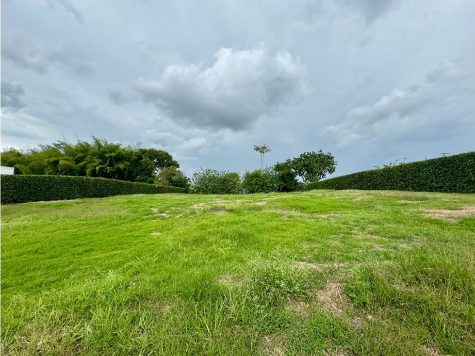 Espectacular lote en Malabar — foto 4