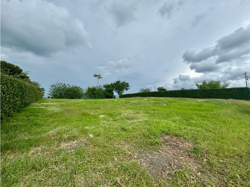 Espectacular lote en Malabar — foto 5