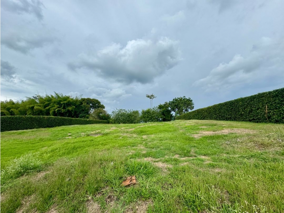 Espectacular lote en Malabar — foto 6