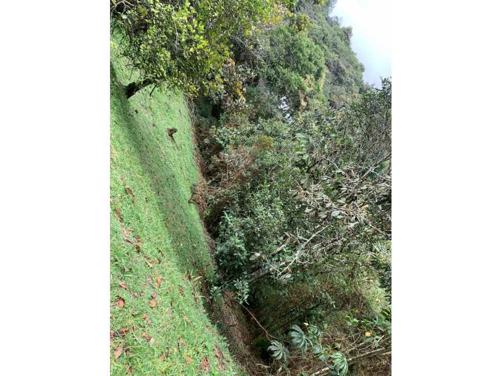 ESPECTACULAR LOTE EN PRESTIGIOSA PARCELACION EN LAS PALMAS EL RETIRO — foto 4