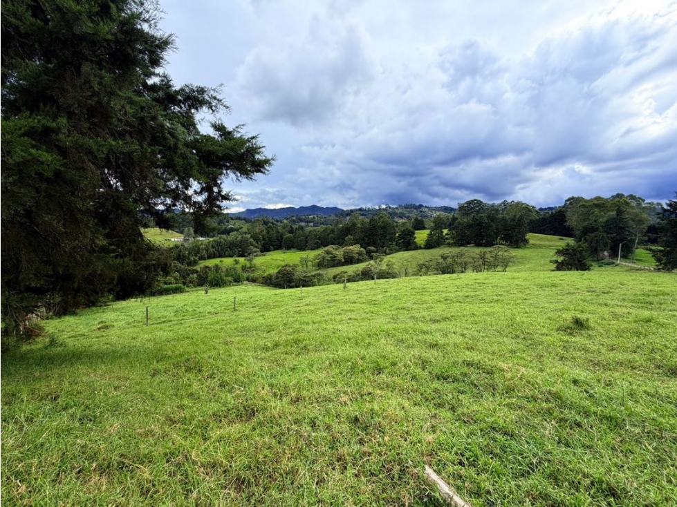 Espectacular lote en Rionegro sector aeropuerto para uso comercial