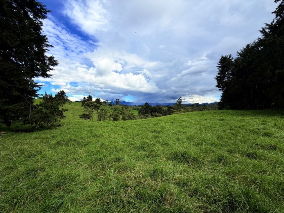 Espectacular lote en Rionegro sector aeropuerto para uso comercial — foto 5