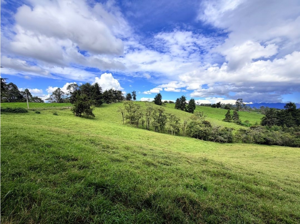 Espectacular lote en Rionegro sector aeropuerto para uso comercial — foto 6