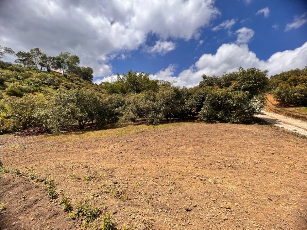 ESPECTACULAR LOTE EN VENTA CON AGUA PROPIA, BOSQUE, VISTA Y UBICACIÓN.