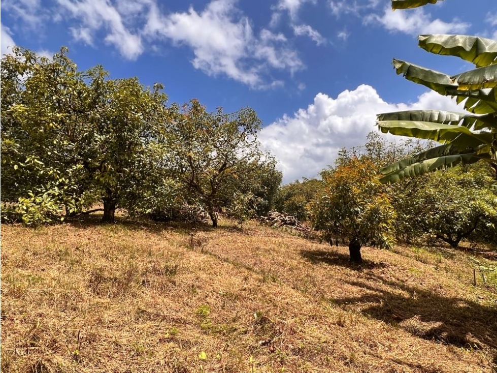 ESPECTACULAR LOTE EN VENTA CON AGUA PROPIA, BOSQUE, VISTA Y UBICACIÓN. — foto 2