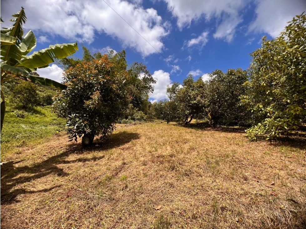ESPECTACULAR LOTE EN VENTA CON AGUA PROPIA, BOSQUE, VISTA Y UBICACIÓN. — foto 3