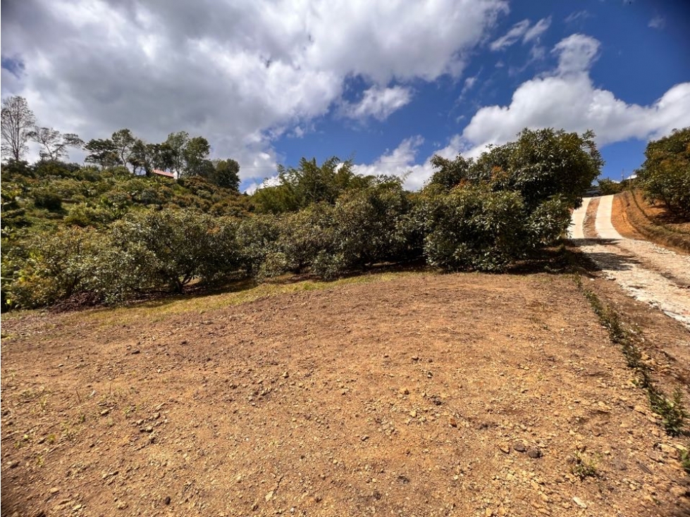 ESPECTACULAR LOTE EN VENTA CON AGUA PROPIA, BOSQUE, VISTA Y UBICACIÓN. — foto 4