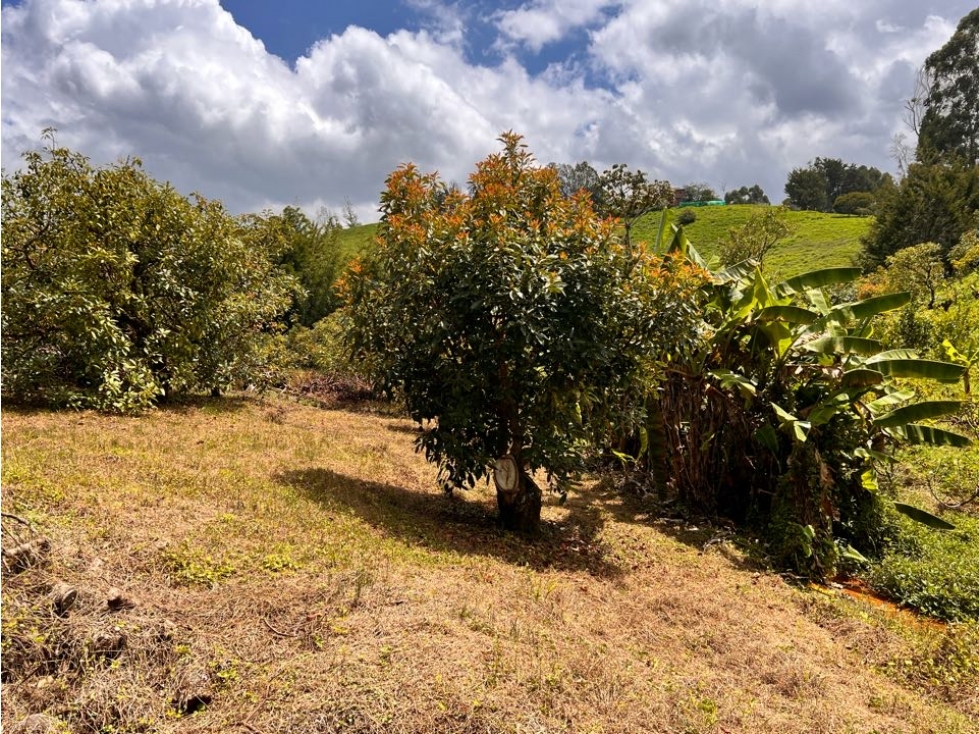 ESPECTACULAR LOTE EN VENTA CON AGUA PROPIA, BOSQUE, VISTA Y UBICACIÓN. — foto 5