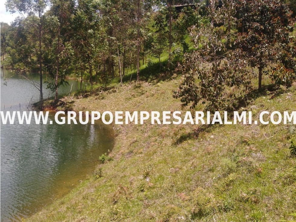 ESPECTACULAR LOTE EN VENTA - EL PEÑOL ANTIOQUIA COD: 29995 - 2