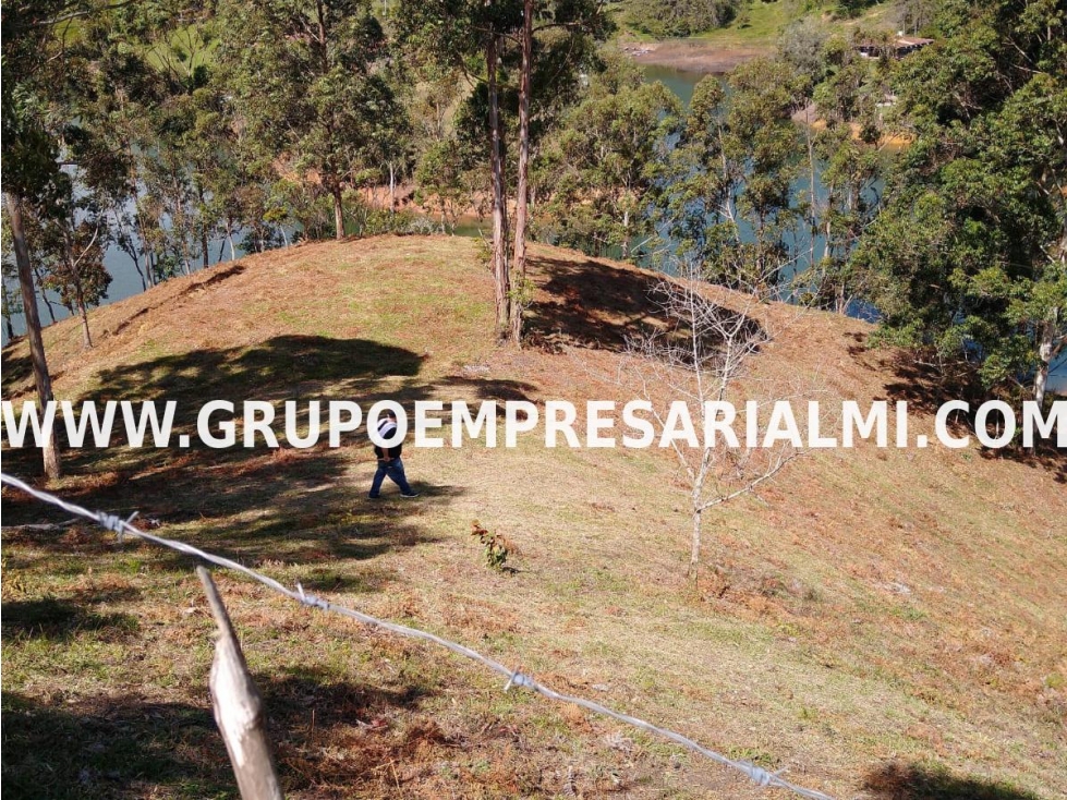 ESPECTACULAR LOTE EN VENTA - EL PEÑOL ANTIOQUIA COD: 29995 - 3