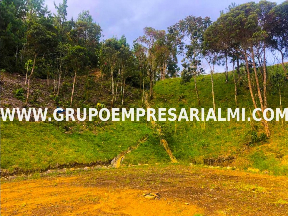ESPECTACULAR LOTE EN VENTA - SECTOR LA CATEDRAL COD: 31616