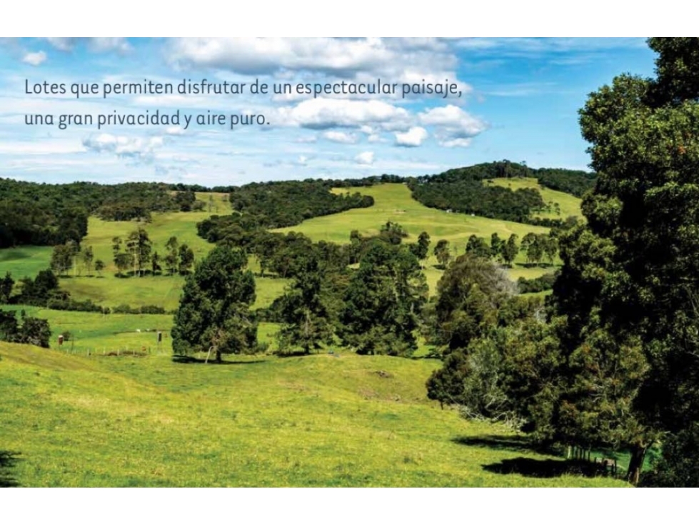 Espectacular Lote en Venta | Sector La Acuarela, Alto de las Palmas. — foto 6