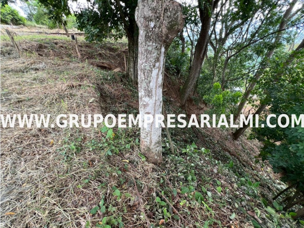 ESPECTACULAR LOTE EN VENTA - SECTOR SOPETRAN COD: 30503 - 5