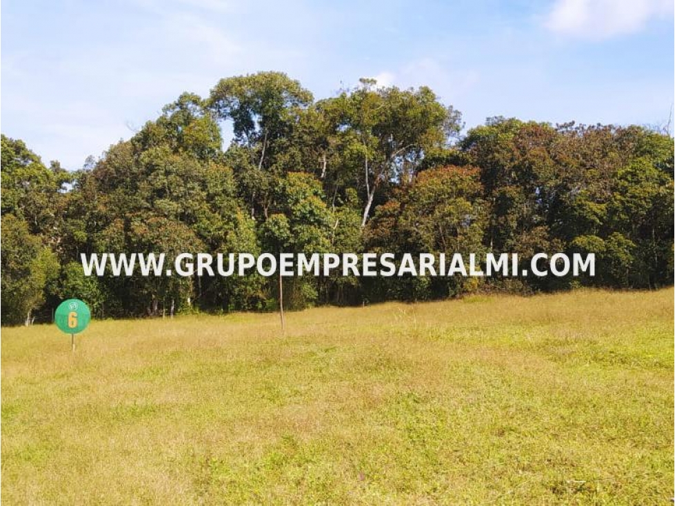 ESPECTACULAR LOTE EN VENTA - SECTOR LA CEJA ANTIOQUIA COD: 30183 — foto 2