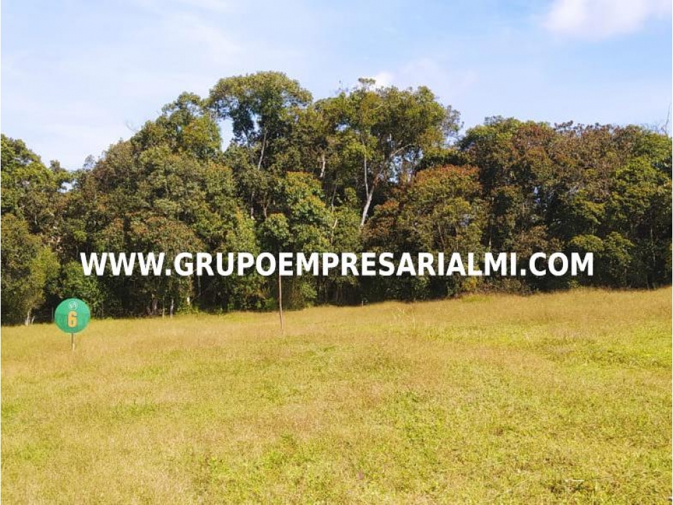ESPECTACULAR LOTE EN VENTA - SECTOR LA CEJA ANTIOQUIA COD: 30183 — foto 4