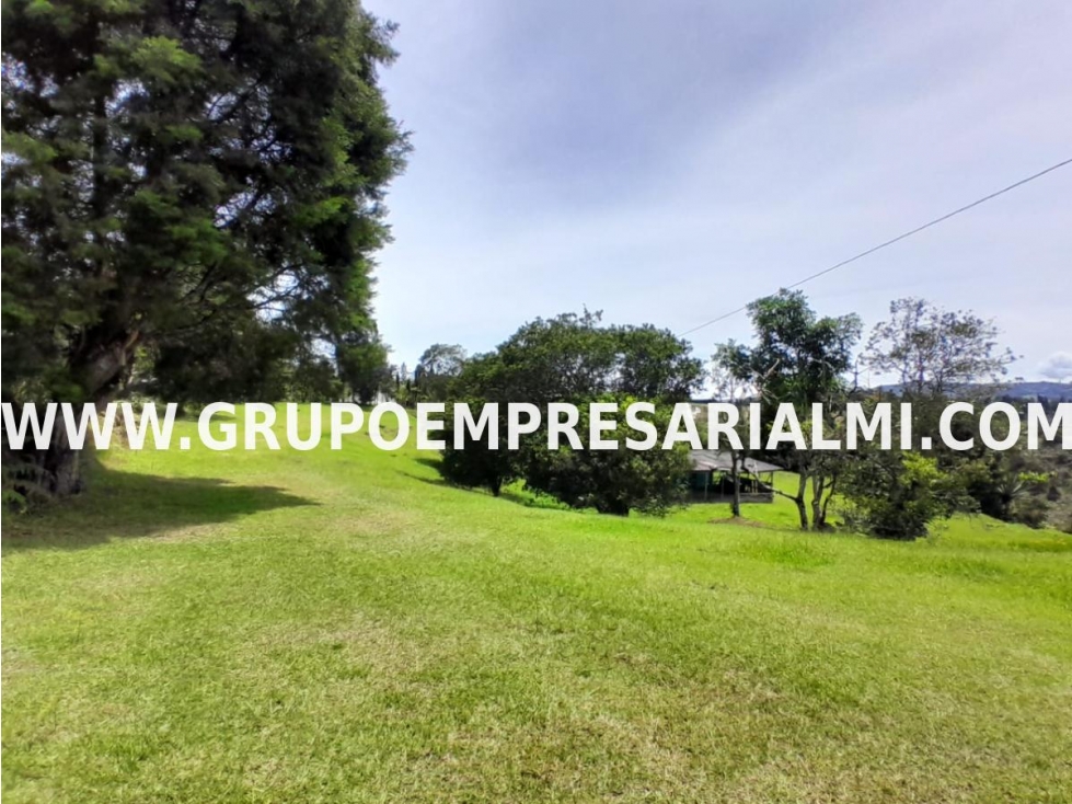 ESPECTACULAR LOTE EN VENTA - SECTOR LLANO GRANDE COD: 33016