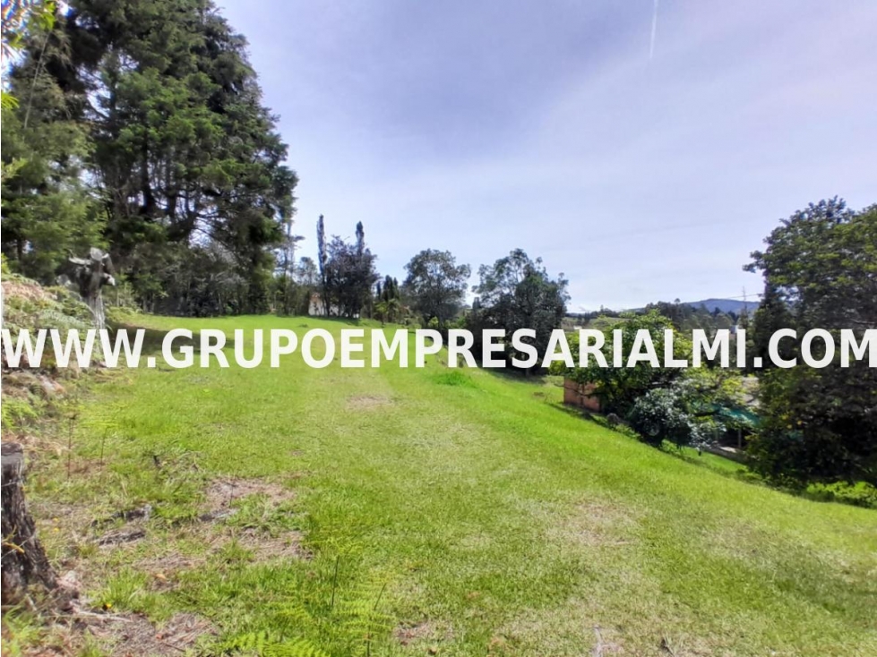 ESPECTACULAR LOTE EN VENTA - SECTOR LLANO GRANDE COD: 33016 — foto 2