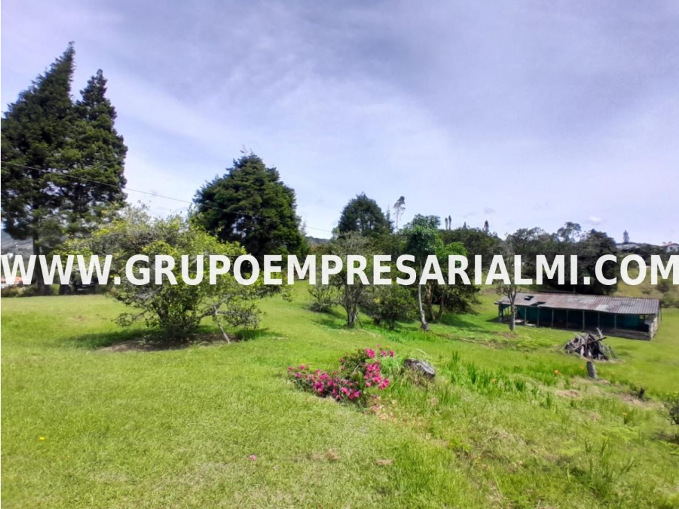ESPECTACULAR LOTE EN VENTA - SECTOR LLANO GRANDE COD: 33016 — foto 3