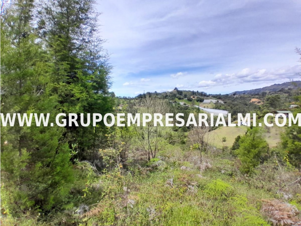 ESPECTACULAR LOTE EN VENTA - SECTOR LLANO GRANDE COD: 33016 — foto 4