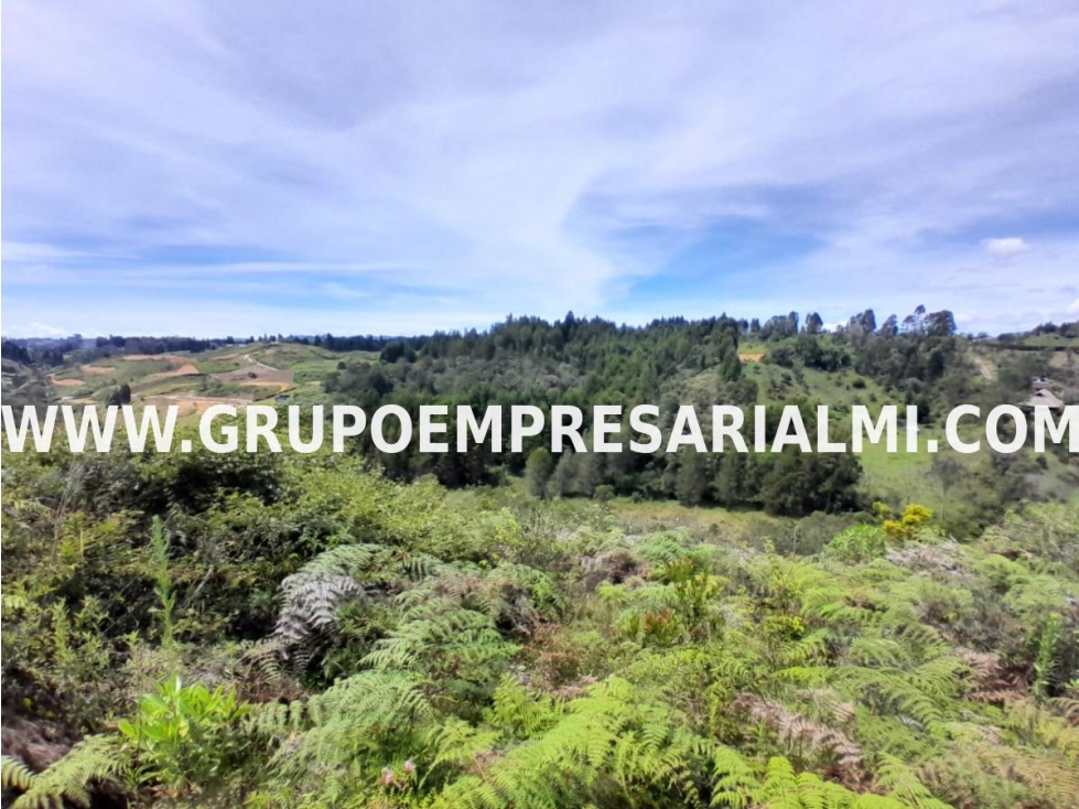 ESPECTACULAR LOTE EN VENTA - SECTOR LLANO GRANDE COD: 33016 — foto 5