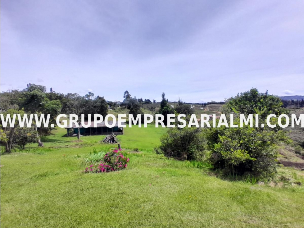 ESPECTACULAR LOTE EN VENTA - SECTOR LLANO GRANDE COD: 33016 — foto 6