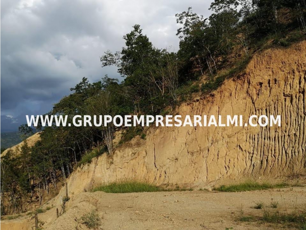 ESPECTACULAR LOTE EN VENTA - SOPETRAN ANTIOQUIA COD: 30096 - 1