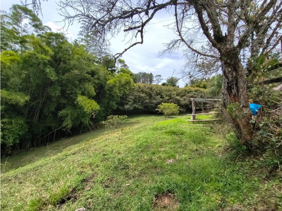 ESPECTACULAR LOTE EN VIA SAN ANTONIO-LA CEJA