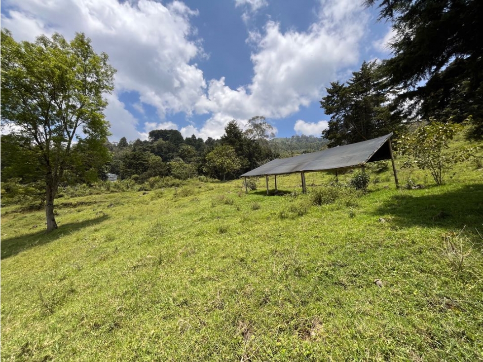 LOTE EN VENTA EN MEDELLÍN SECTOR LOS BALSOS INDEPENDIENTE CON VISTA — foto 3
