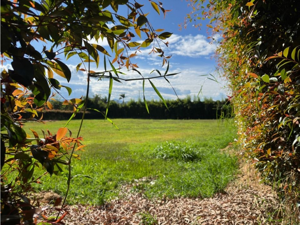 ESPECTACULAR LOTE PARA LA VENTA EN LLANOGRANDE