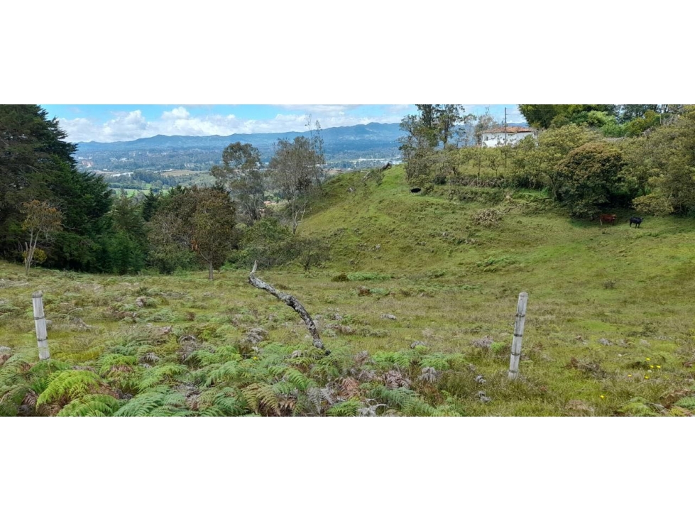 ESPECTACULAR LOTE PARA PARCELACIÓN SECTOR AEROPUERTO RIONEGRO — foto 6