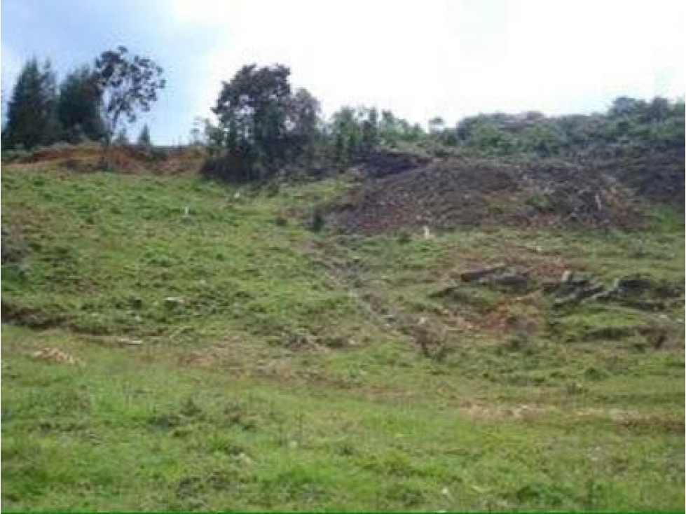 Espectacular lote sobre la autopista Medellín Bogotá sector Guarne — foto 2