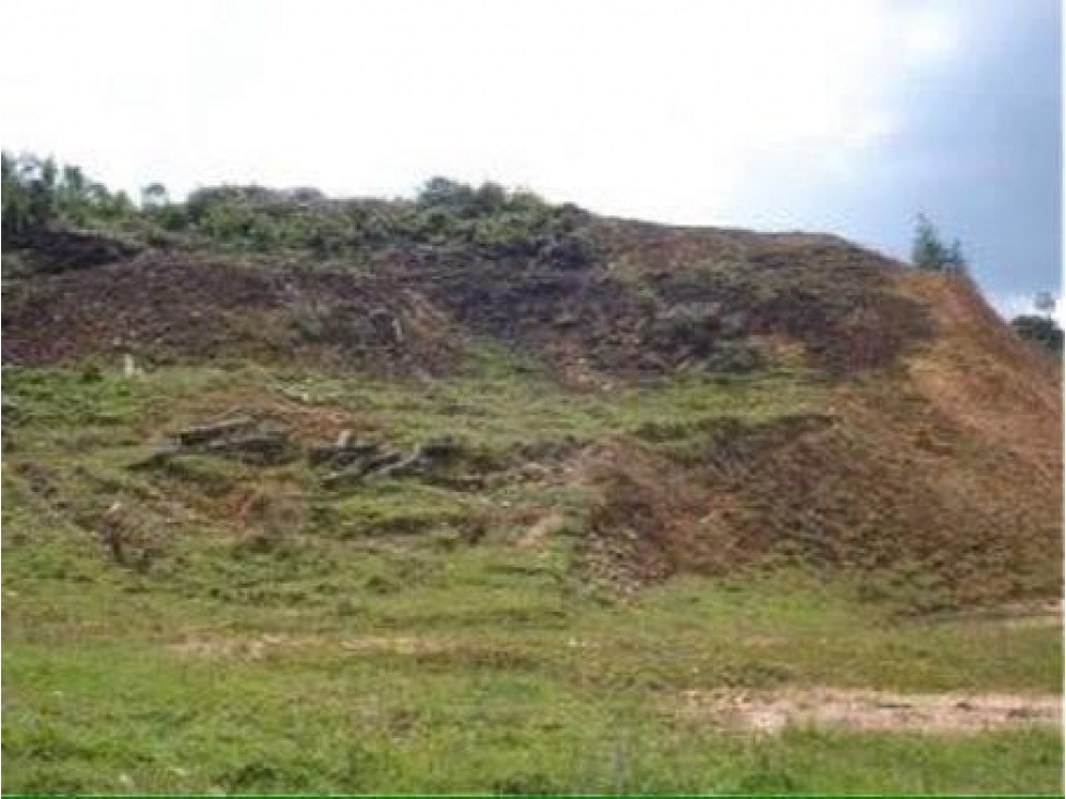 Espectacular lote sobre la autopista Medellín Bogotá sector Guarne — foto 3