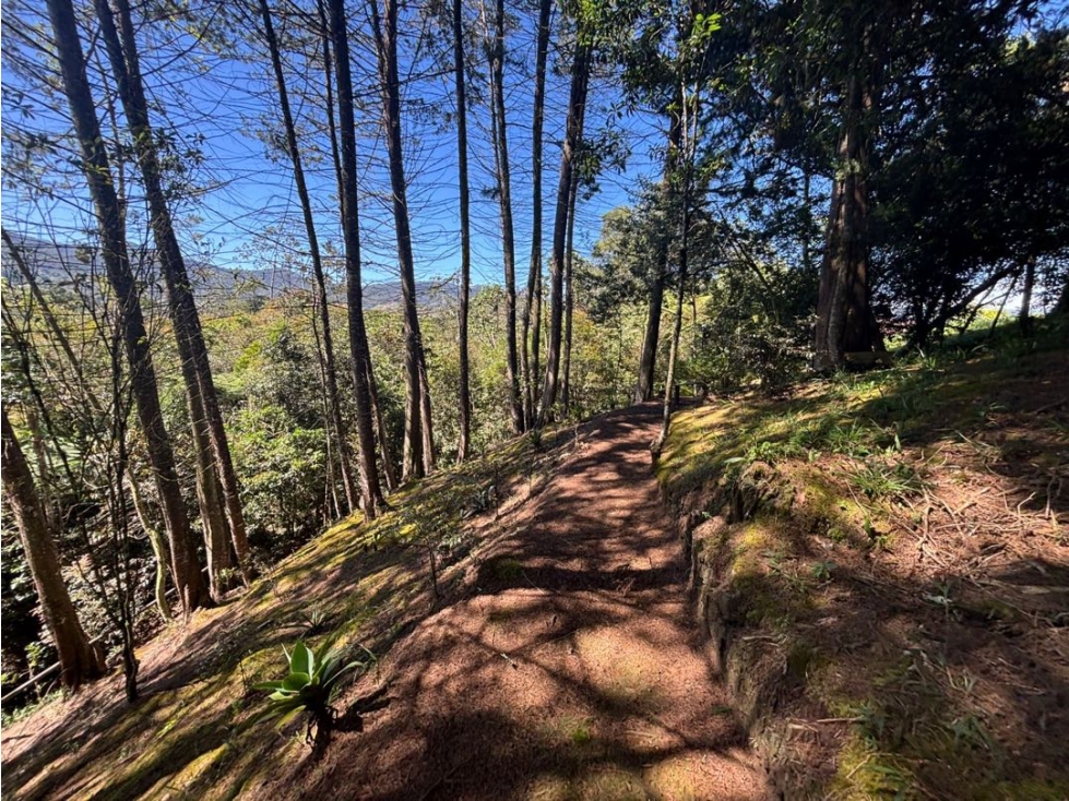 Espectacular lote sobre la vía San Antonio La Ceja — foto 4