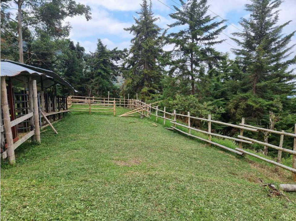 Finca con espectacular vista en cordoba de 19 Cuadras — foto 3