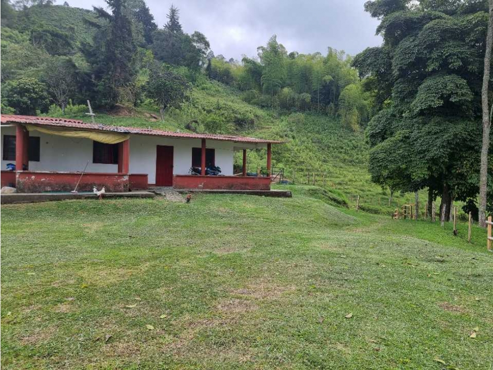 Finca con espectacular vista en cordoba de 19 Cuadras — foto 5